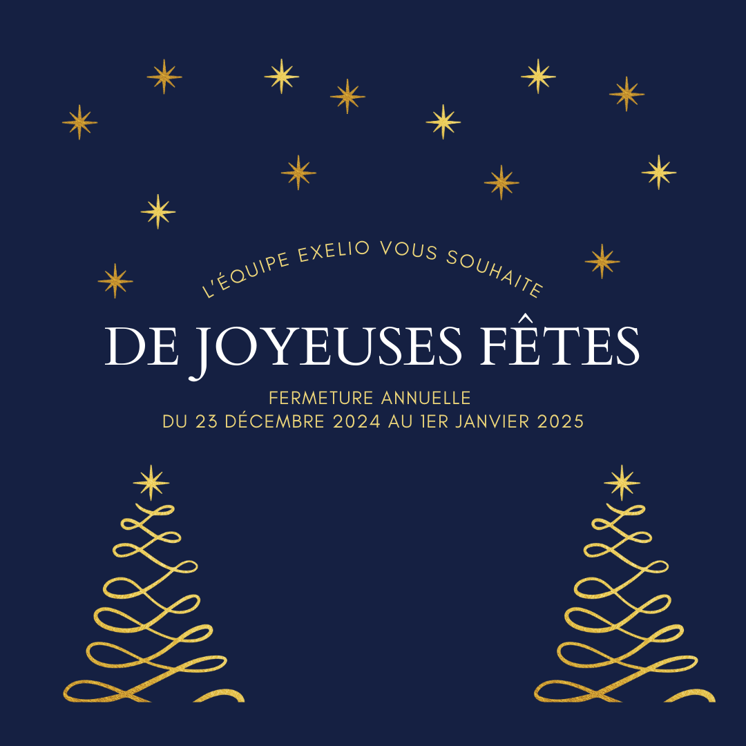 L’équipe exelio vous souhaite de joyeuses fêtes de fin d’année !